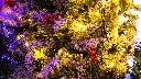 IMG_3609.webp