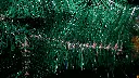IMG_3502.webp