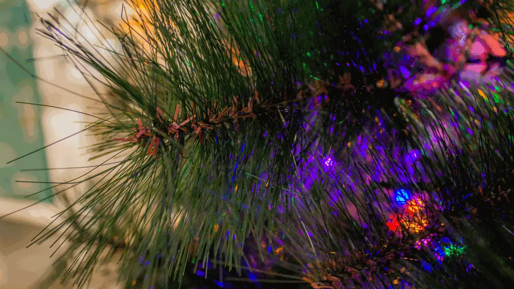 IMG_3389.webp