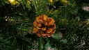 IMG_3552.webp