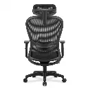 SIlla Elisa Detras.webp
